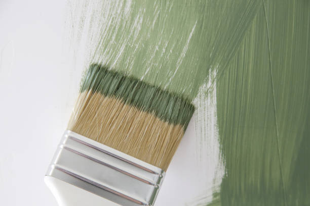 Trusted Middlefield, OH Mold Removal Experts