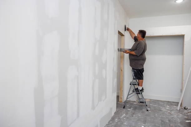 Best Black Mold Removal  in Middlefield, OH