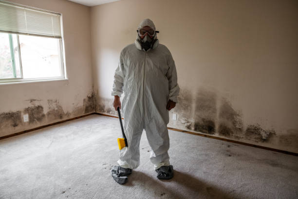 Mold Documentation for Insurance Claims in Middlefield, OH